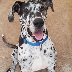 Meet your Posher, Mark